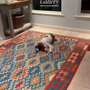 WhatsApp Image 2023-08-15 at 10.31.28 PM